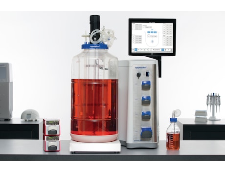 Fermentador | biorreactor BioFlo 320