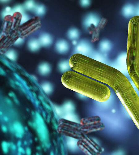 Anticuerpos monoclonales biosimilares