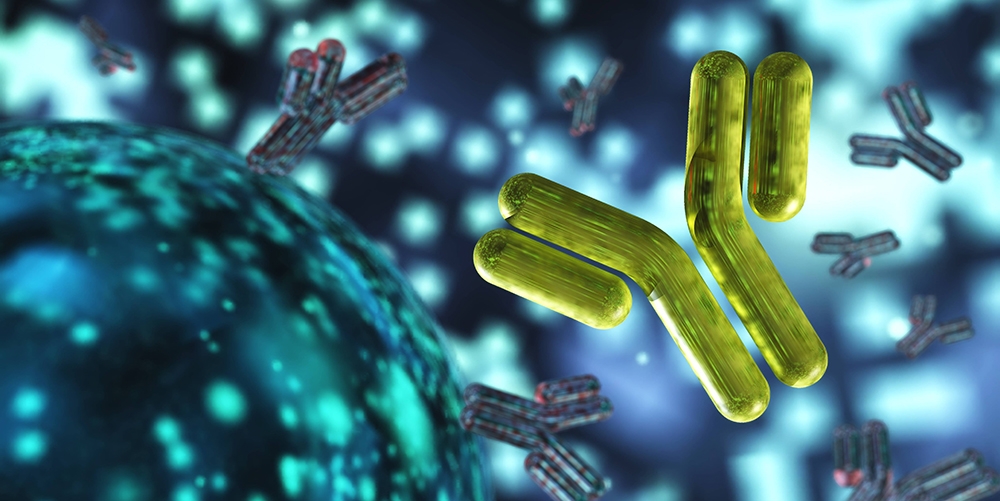 Anticuerpos monoclonales biosimilares