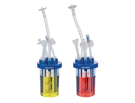 Sistema de mini biorreactor con multiples vasos de control independiente DASbox (Aplica al Programa Federal Equipar Ciencia) - Imagen 3